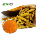 Amulyn Health Care Organic Kurkuma-Extrakt